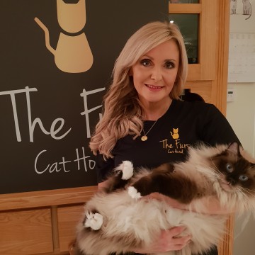 Paws for thought as luxury cat hotel opens in North East
